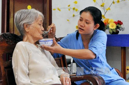 Các Công Việc Trong Dịch Vụ Chăm Sóc Người Già